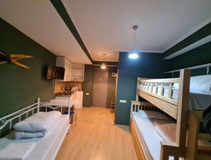 WiFi - Ski-in Ski-out Ropeway Apartment, Gudauri (Gudauri)