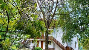 Unclassified image, 3 of 24, button - Large apartment surrounded by greenery with lake view (Zone)