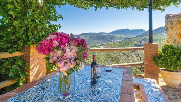 A table with a bottle and glasses, surrounded by a blue patterned tablecloth, with a view of hills in the background.