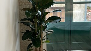 Een hoekzaak met een bloempot, een raam met uitzicht op gebouwen, en een betegelde vloer.