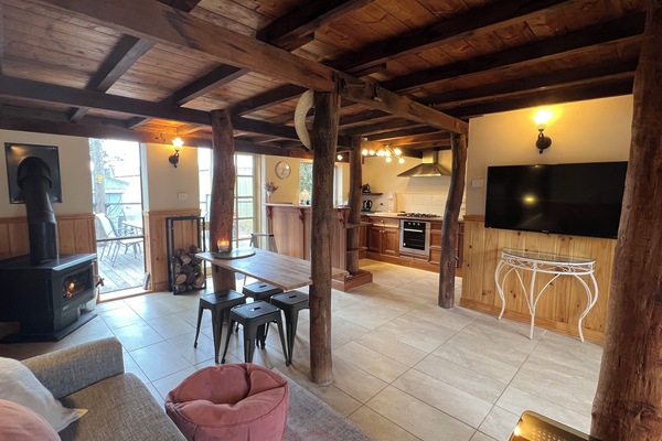 Televisión, chimenea y libros