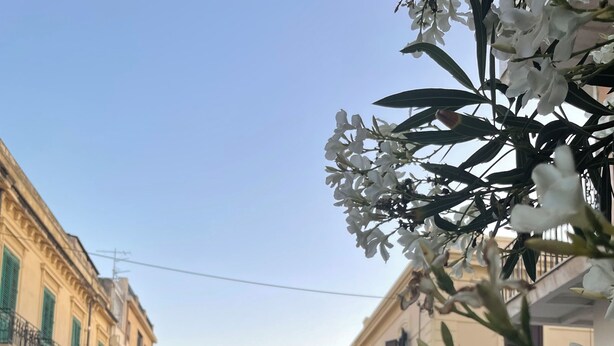 Exterior - La Cattedrale Affittacamere (Reggio Calabria)