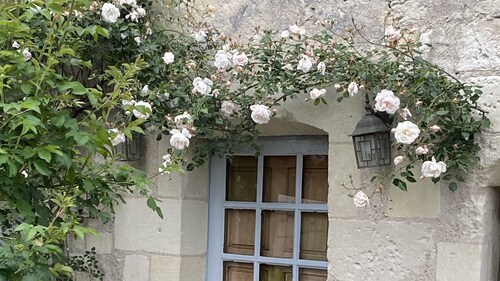 Manoir Dans un Écrin de Verdure - Châteaux et Vignes - Loire