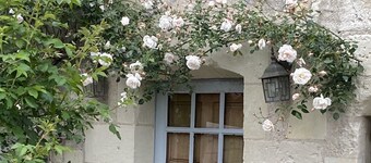 Manoir Dans un Écrin de Verdure - Châteaux et Vignes - Loire