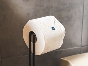 Shower, free toiletries, towels, toilet paper