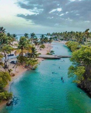 Une zone côtière caractérisée par une étendue d’eau dégagée, des palmiers et une plage.