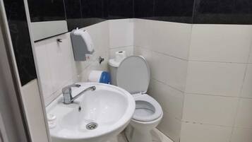 Shower, hydromassage showerhead, hair dryer, bathrobes