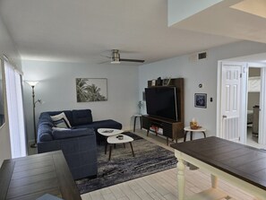 Smart TV, books, computer monitors