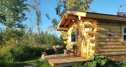 Riverfront Trapper's Cabin