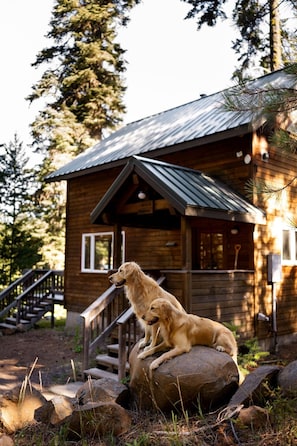 A cabin with a wooden exterior, a metal roof, and a staircase leading to the entrance.