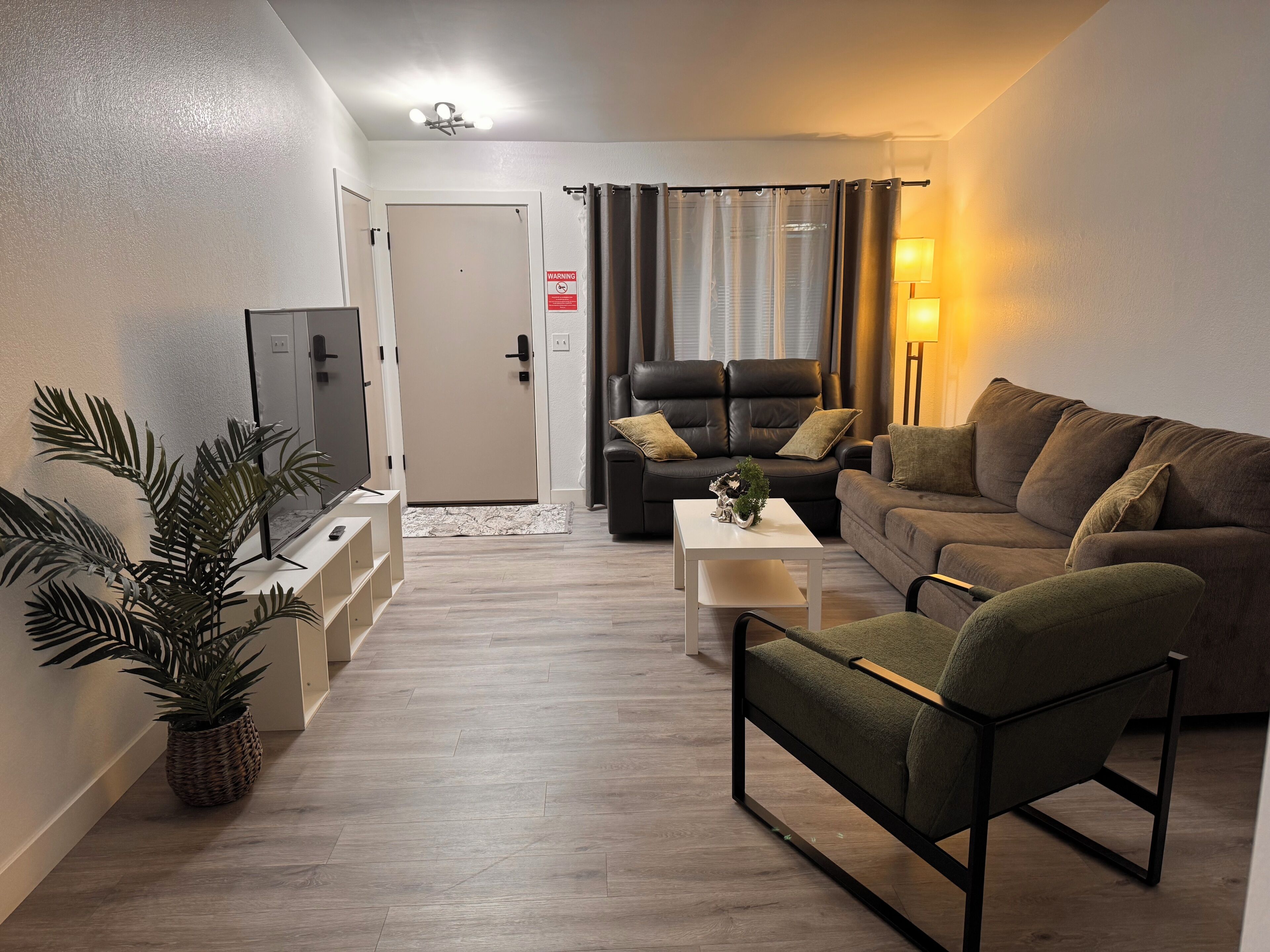 Smart-TV, Kamin