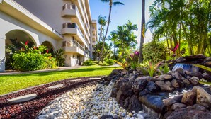 A hotel with a landscaped garden, a waterfall, and palm trees.