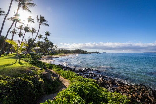 驚くべき現代的なビーチフロントリゾート・ビスタス