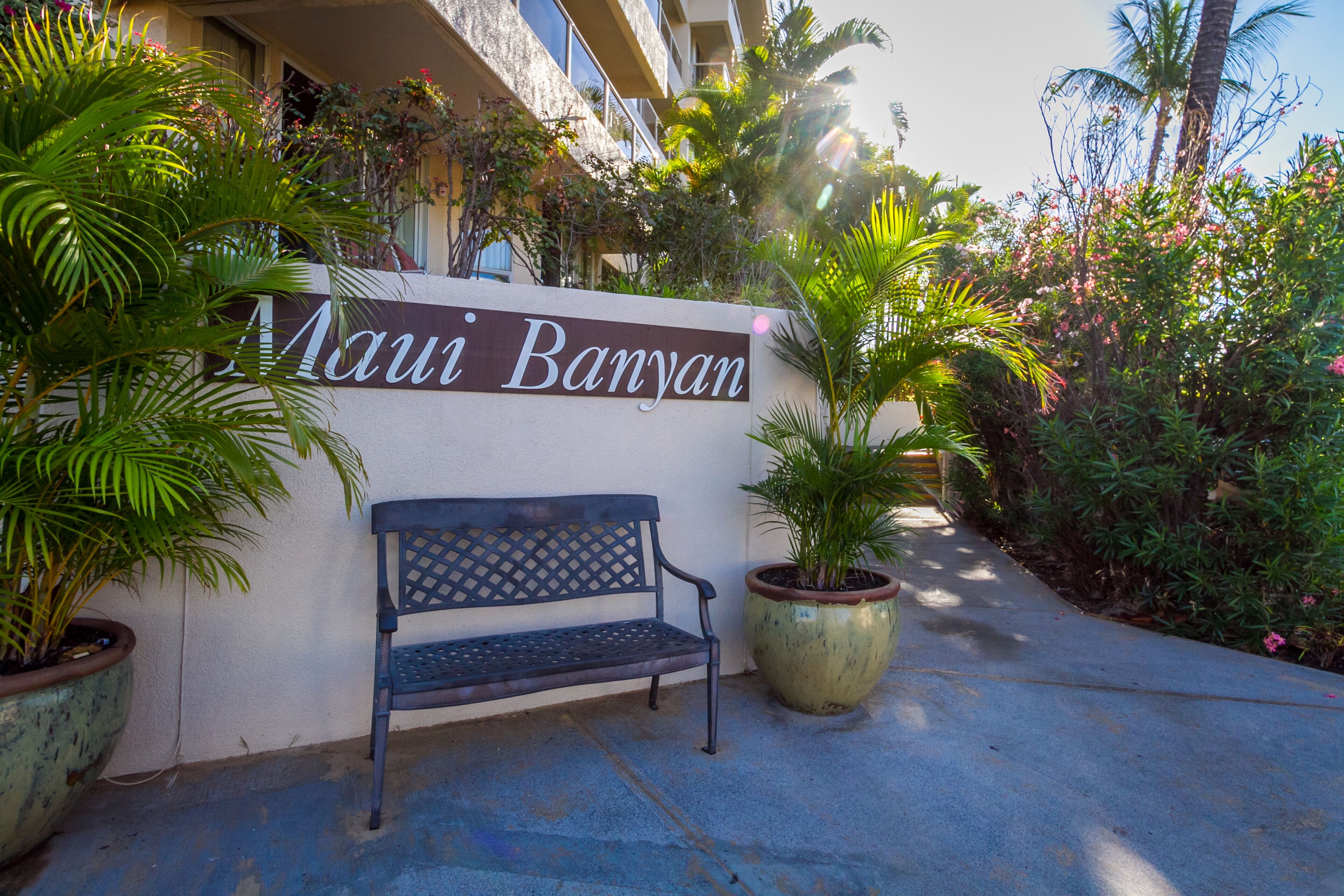 Un banc et une pancarte indiquant « Maui Banyan » se trouvent devant un bâtiment orné de plantes tropicales.