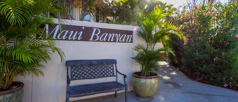 Un banc et une pancarte indiquant « Maui Banyan » se trouvent devant un bâtiment orné de plantes tropicales.