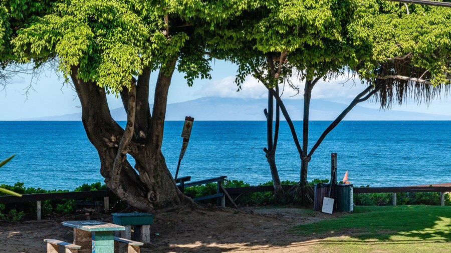 Stunning Modern Beachfront Resort Vistas