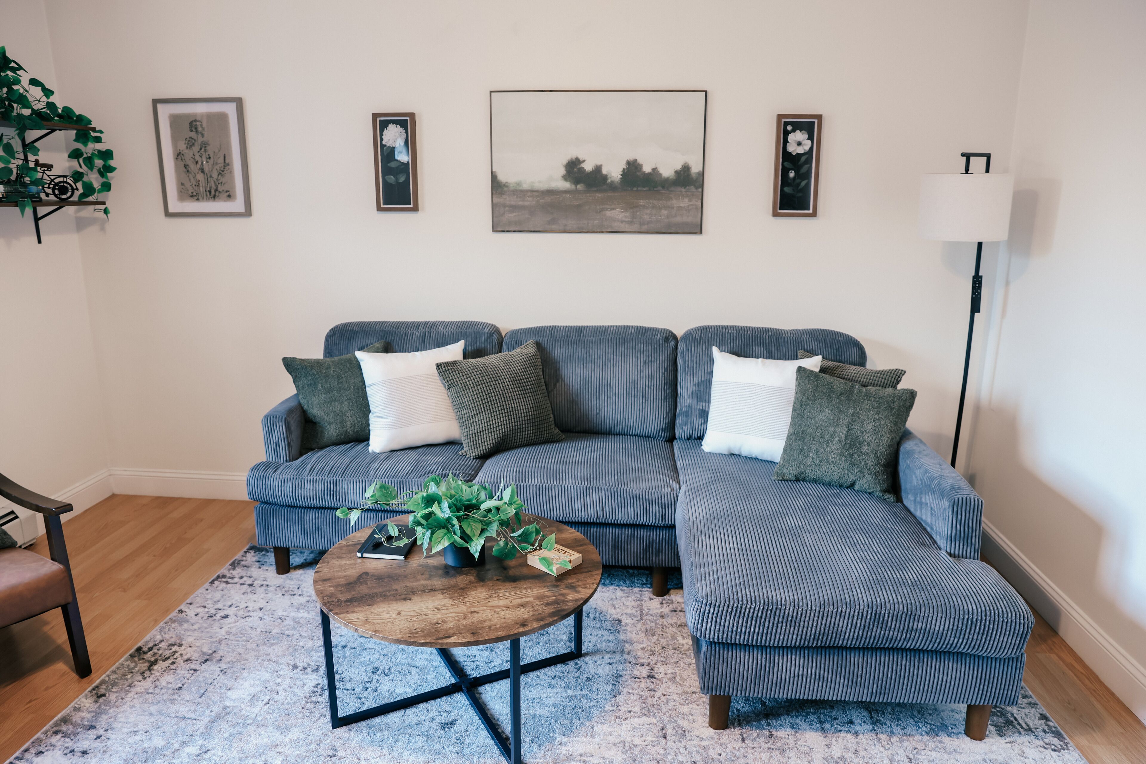 TV connectée, cheminée, livres