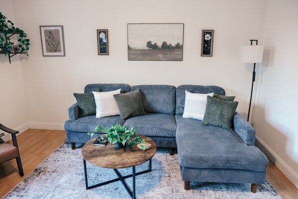 Smart TV, fireplace, books
