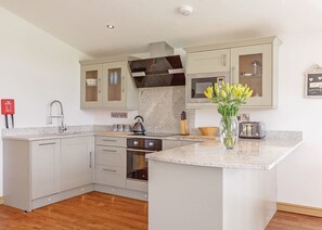 Fridge, oven, stovetop, toaster