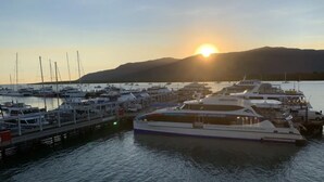 A marina with boats docked at sunset.