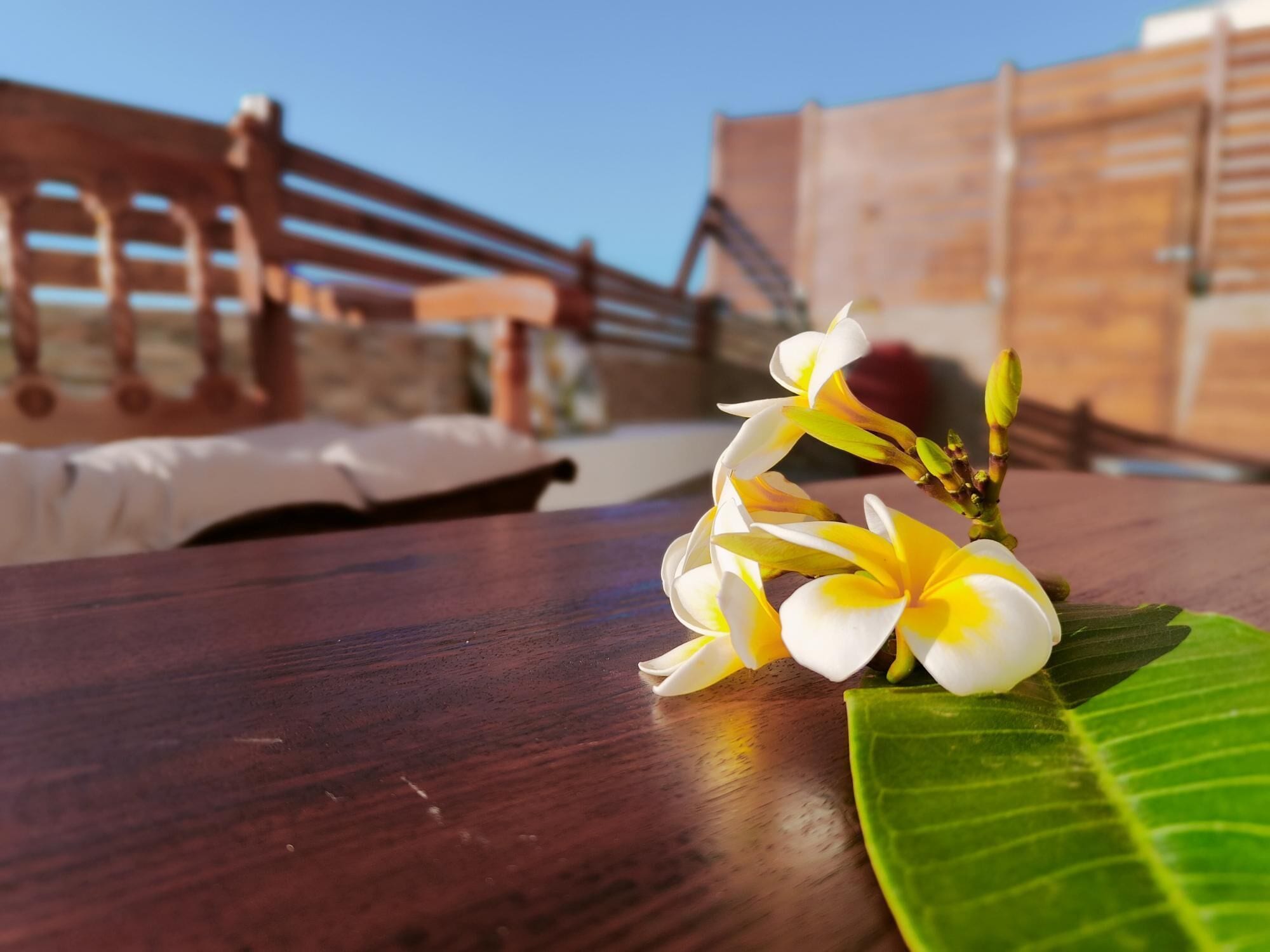 บ้านพัก | 2 ห้องนอน