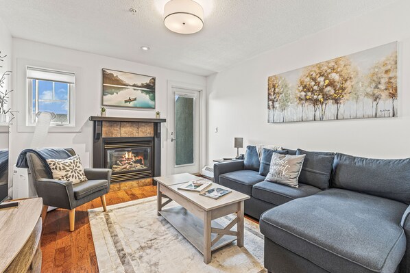 TV connectée, cheminée, lecteur de DVD, livres