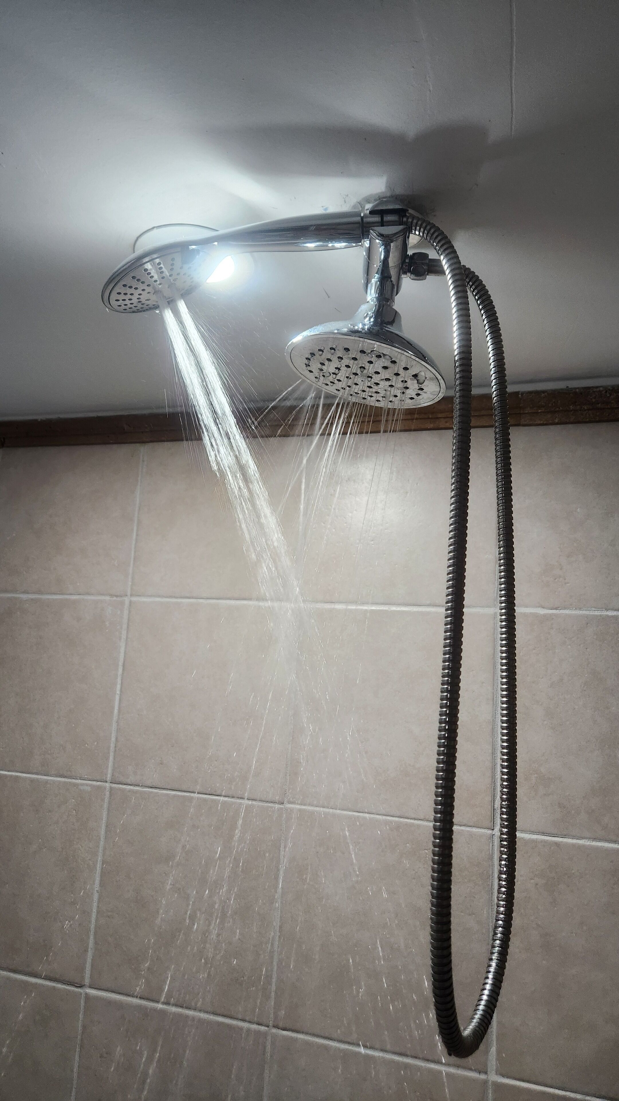 Soffione della doccia rimovibile