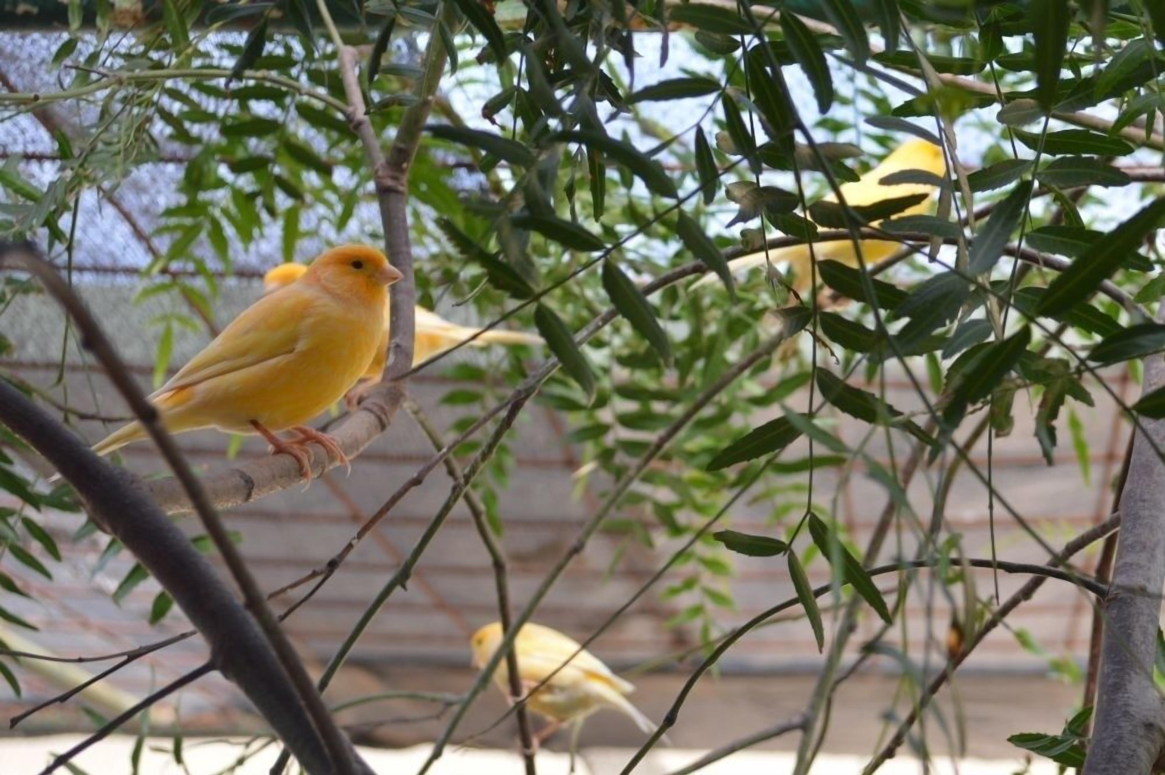 Un oiseau était perché sur une branche.