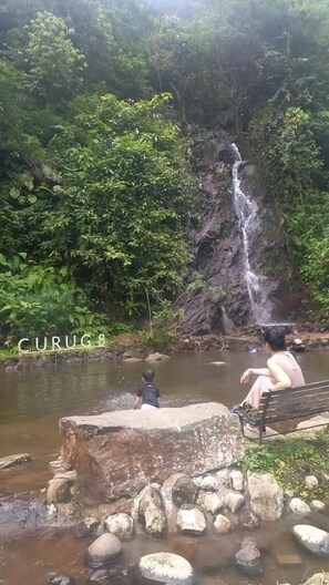 Taman