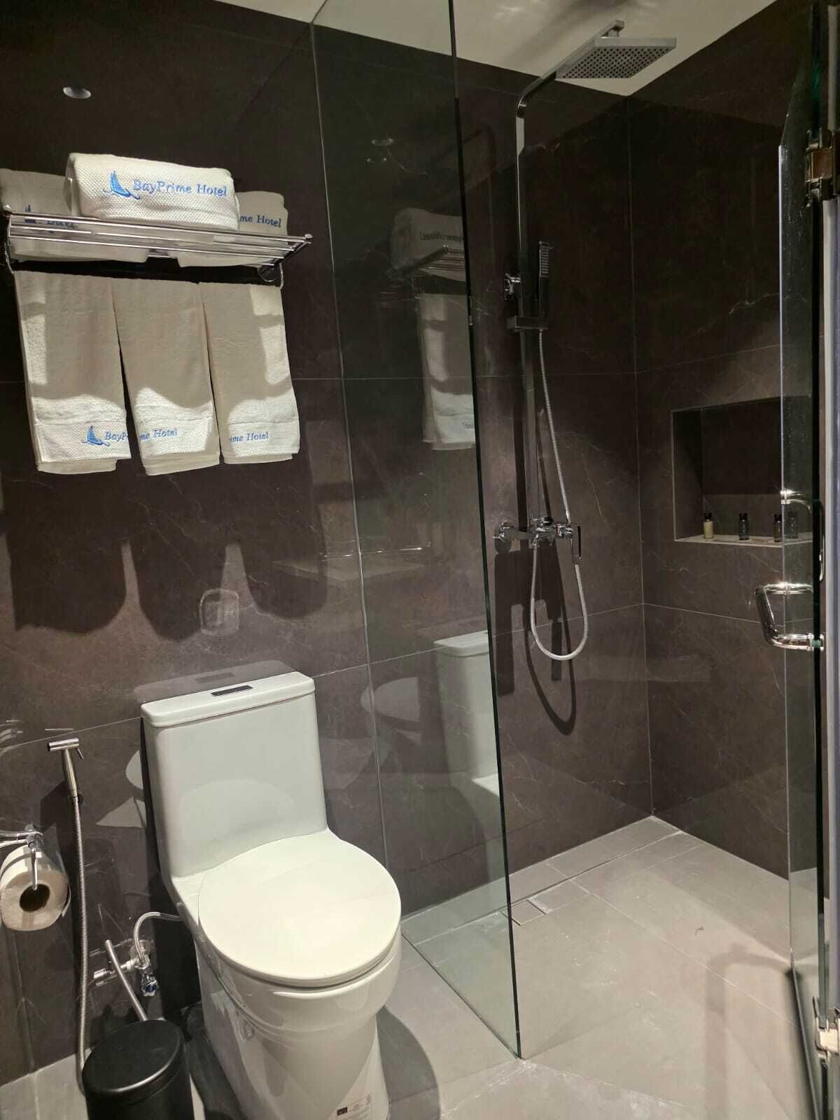 A modern bathroom with a glass-enclosed shower, a toilet, and a shelf with towels.