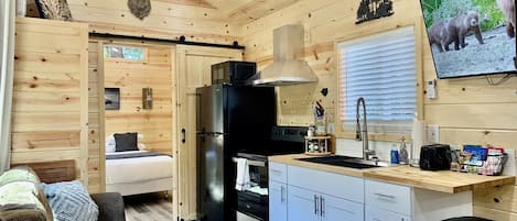 A compact, wood-paneled room with a kitchenette, a bed, and a TV displaying wildlife.