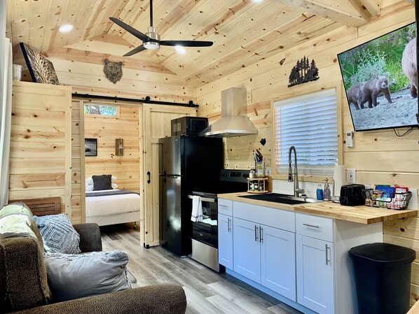 A compact, wood-paneled room with a kitchenette, a bed, and a TV displaying wildlife. - Cabin #4 Lake Nahwatzel Resort - New Tiny Cabin! (Shelton)