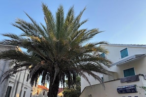 Dettaglio esterni