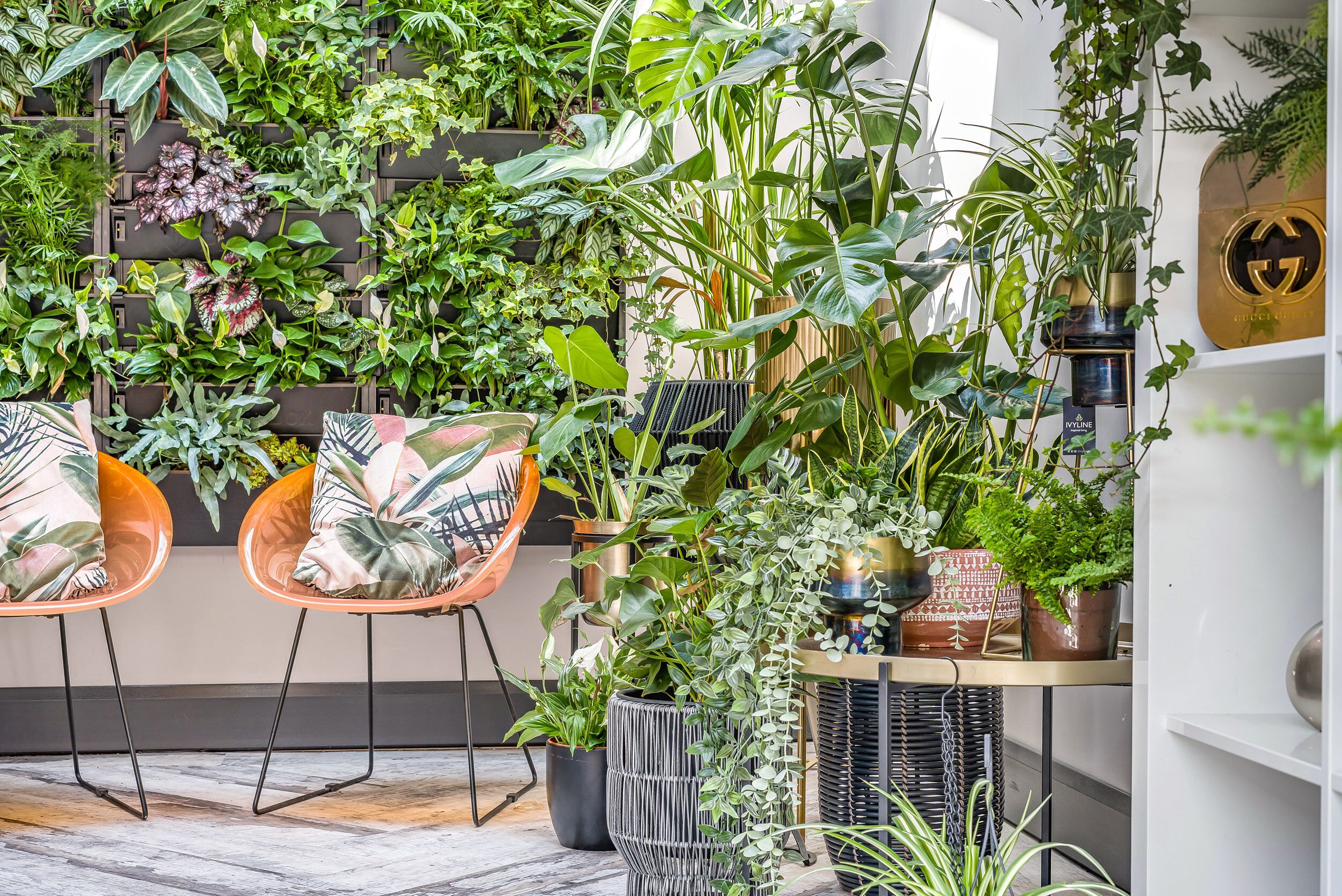 Overnatningsstedets område