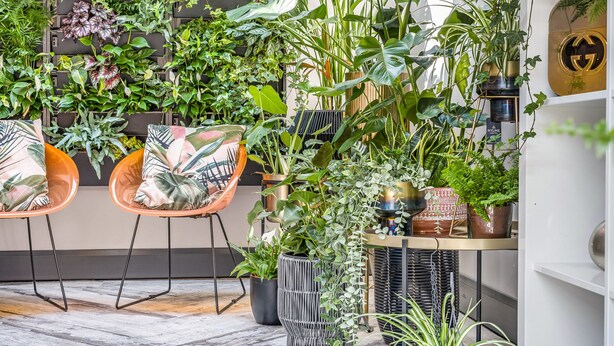 A room with a vertical garden wall, two orange chairs, and a small table with decorative items. - The Old Bells (Doncaster)