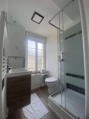 Shower, hair dryer, towels