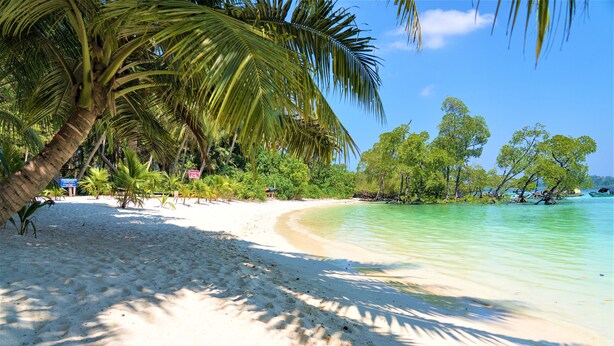 Una playa de arena blanca, agua turquesa cristalina y palmeras.