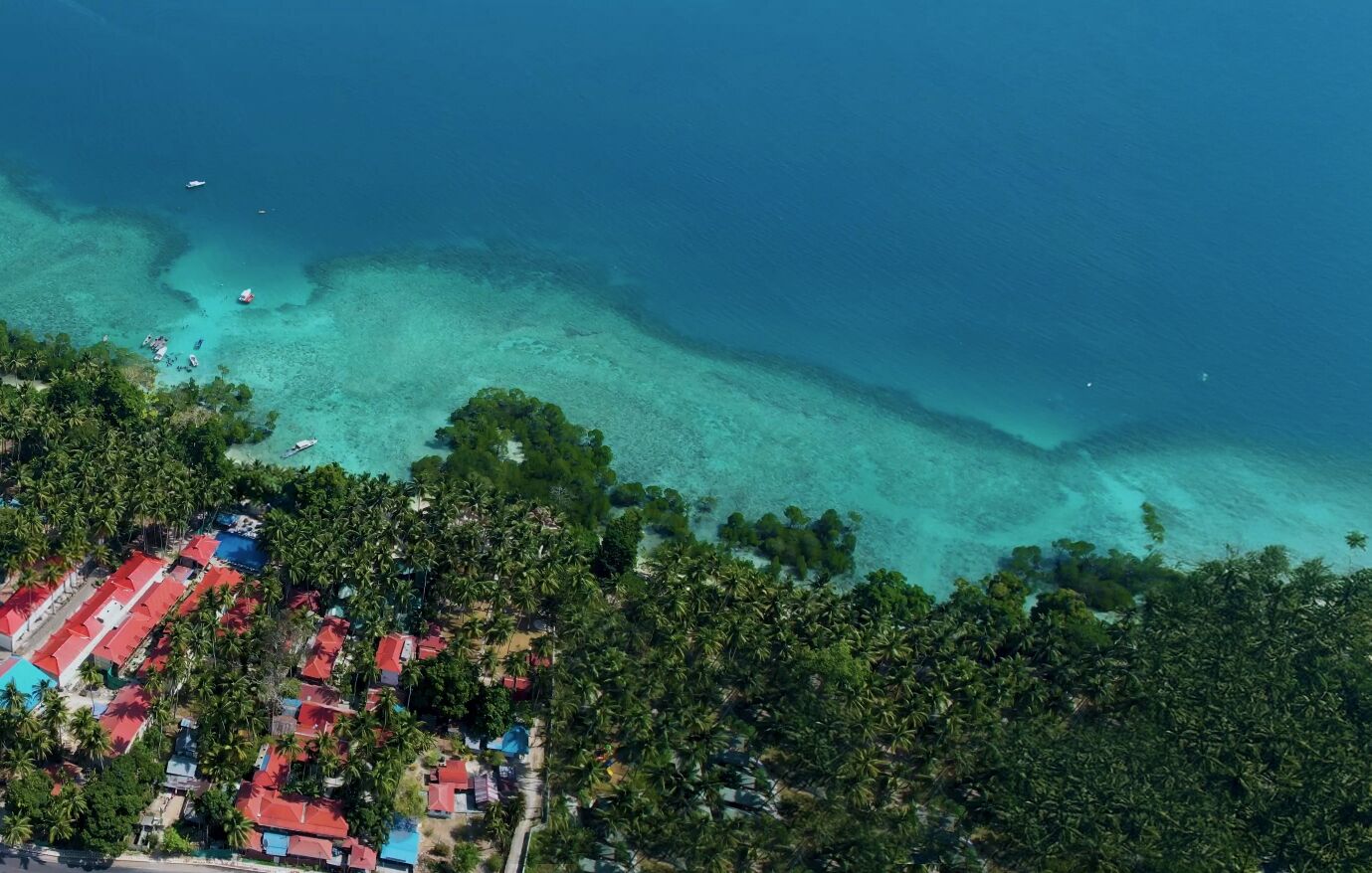 An aerial view of a coastal area with clear turquoise waters, dense green vegetation, and a cluster of buildings with red roofs.