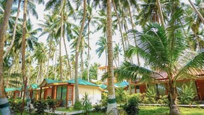 Un resort con varias construcciones tipo cabaña rodeado de exuberantes palmeras.