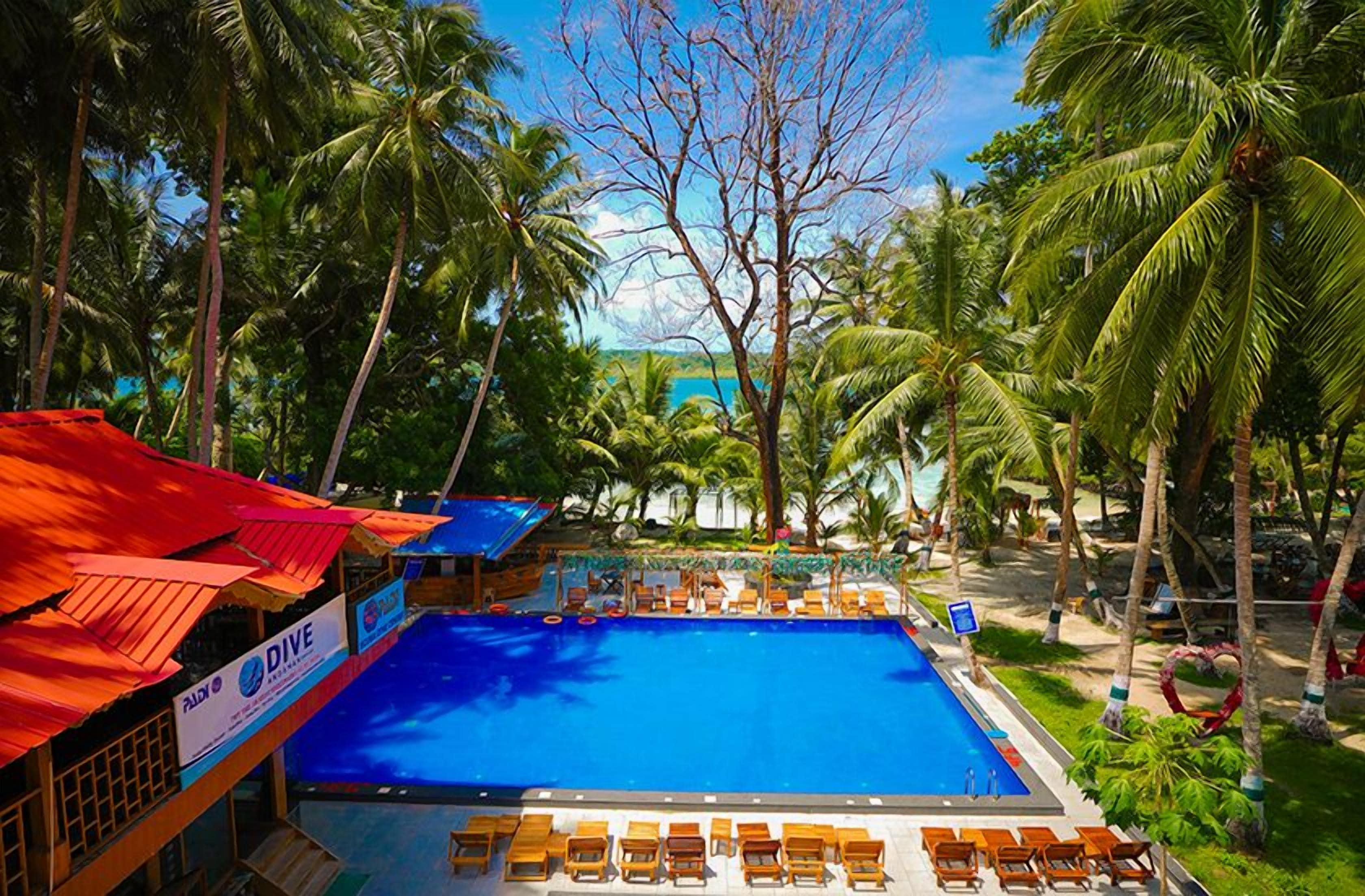 Un espace piscine avec des chaises longues, des palmiers et un panneau indiquant « PLONGÉE ».