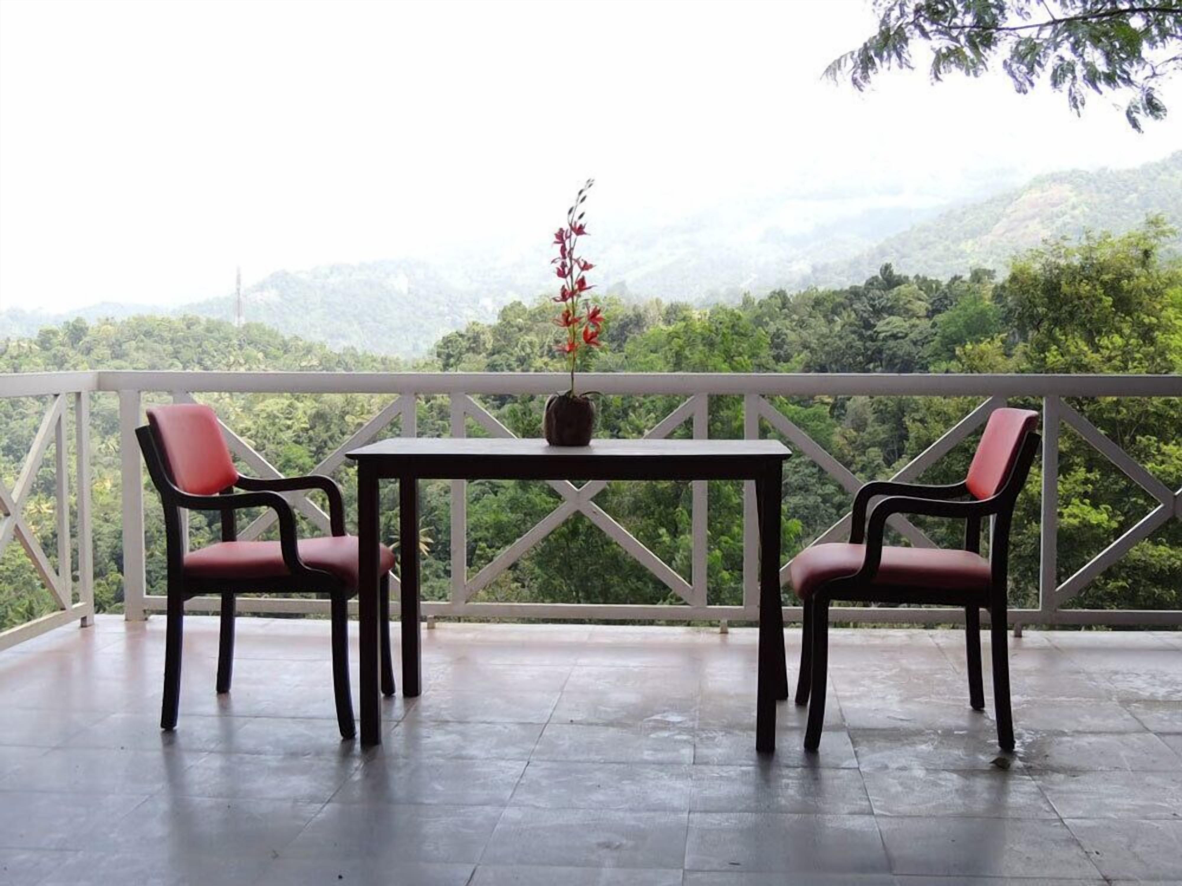 Un balcon avec une table et des chaises, une plante en pot et une vue sur un paysage montagneux.
