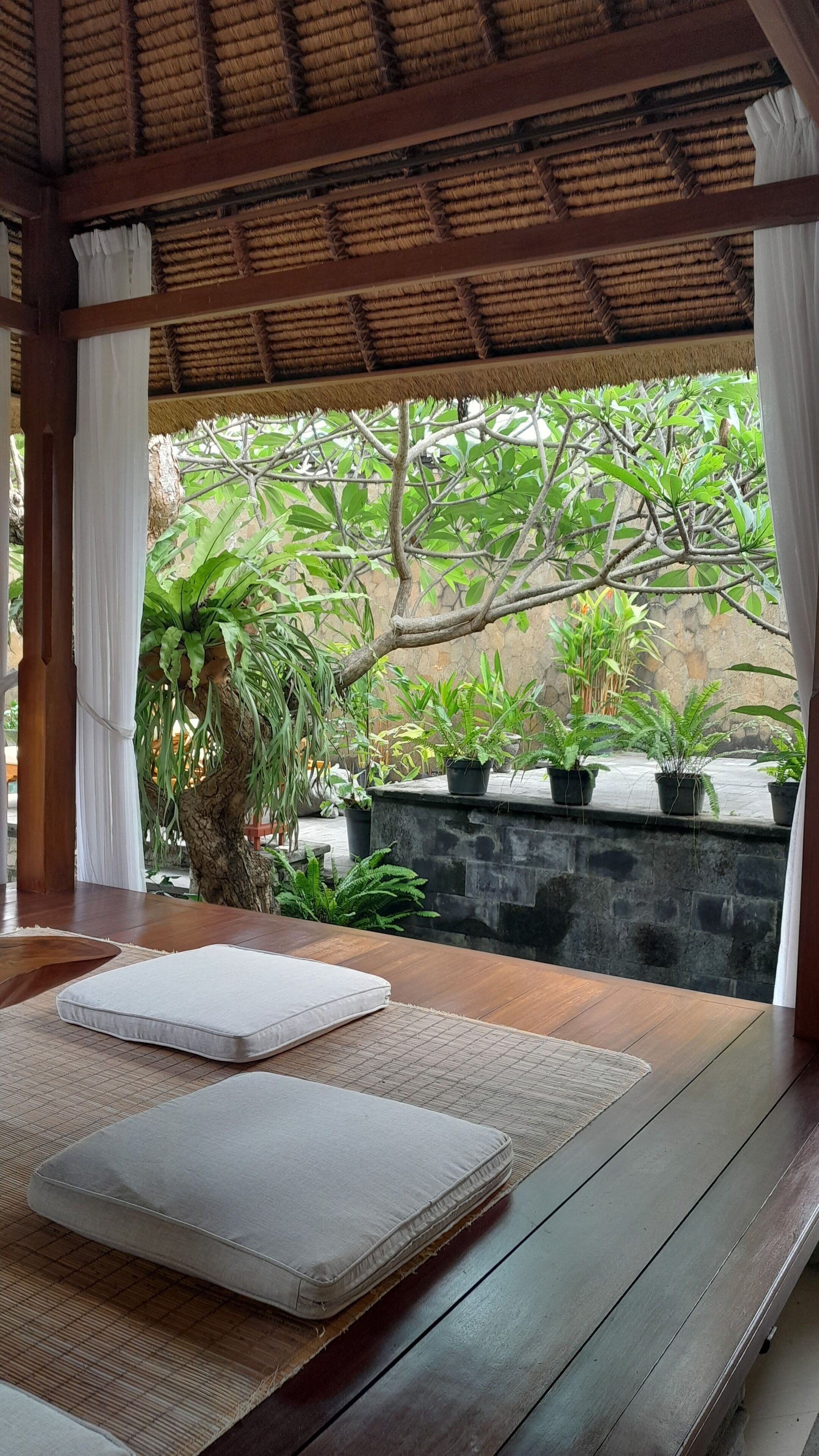 Enceinte de l’hébergement