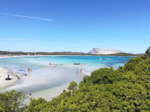Nära stranden