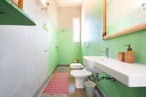 Ducha, secador de pelo y toallas