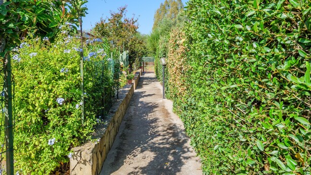 A pathway flanked by dense green foliage and flowering plants, leading to a gate.