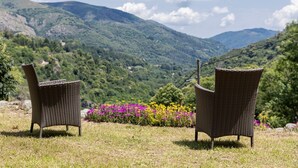 Duas cadeiras de vime em um campo gramado, com montanhas ao fundo.