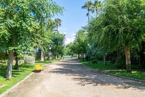 Un chemin pavé bordé d’arbres verdoyants et agrémenté d’un banc.
