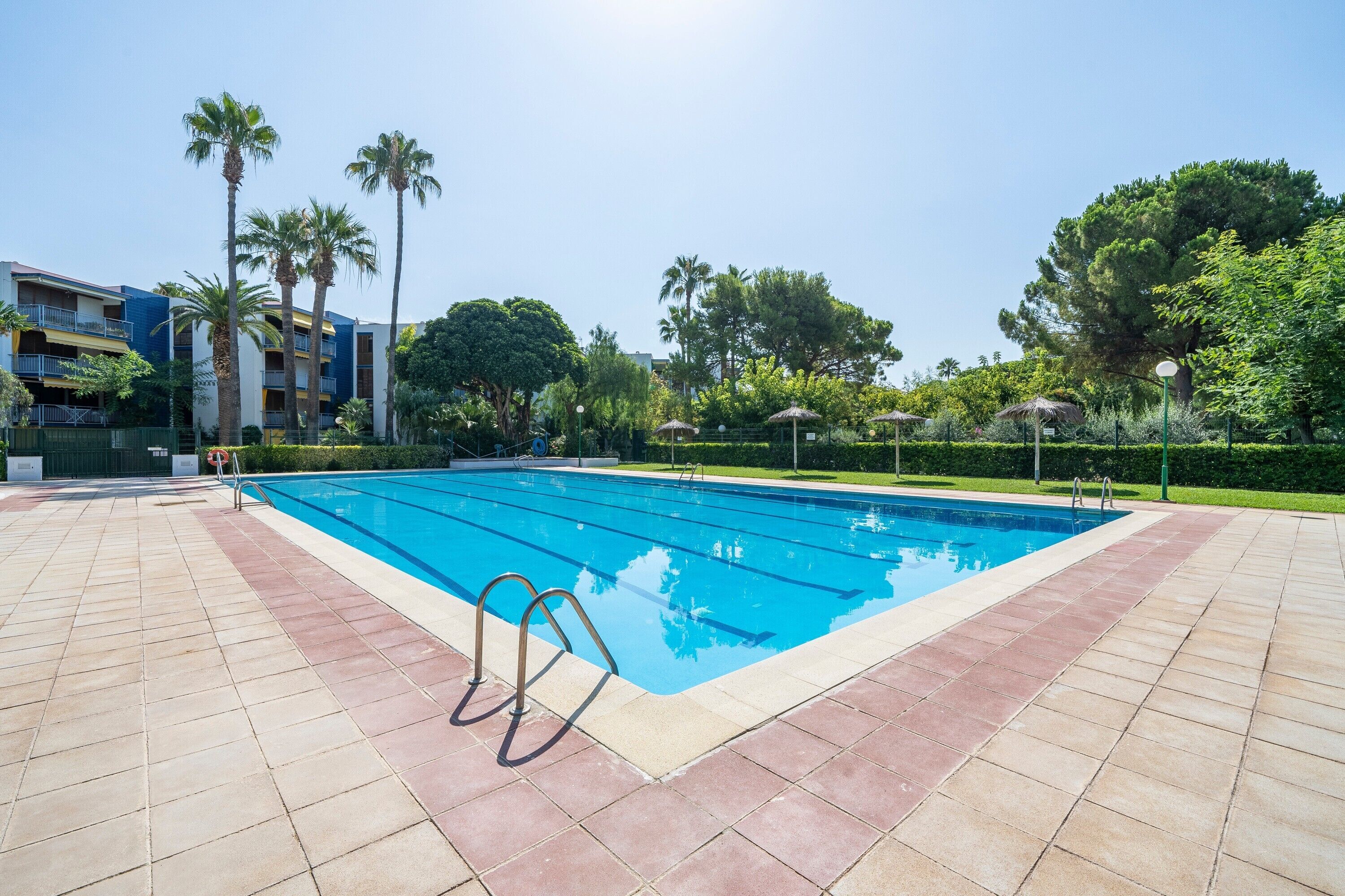 Ein Pool mit Fliesen umgeben von Palmen und einem mehrstöckigen Gebäude.