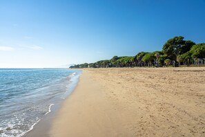 Une plage avec un rivage sablonneux, un ciel dégagé et une rangée d’arbres le long du bord de l’eau.