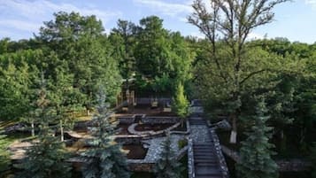 Uitzicht op de tuin